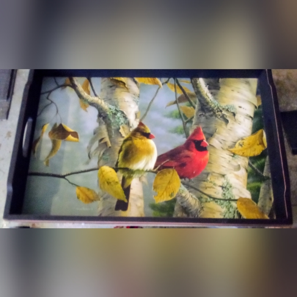 CounterArt Feathered Friends serving Tray